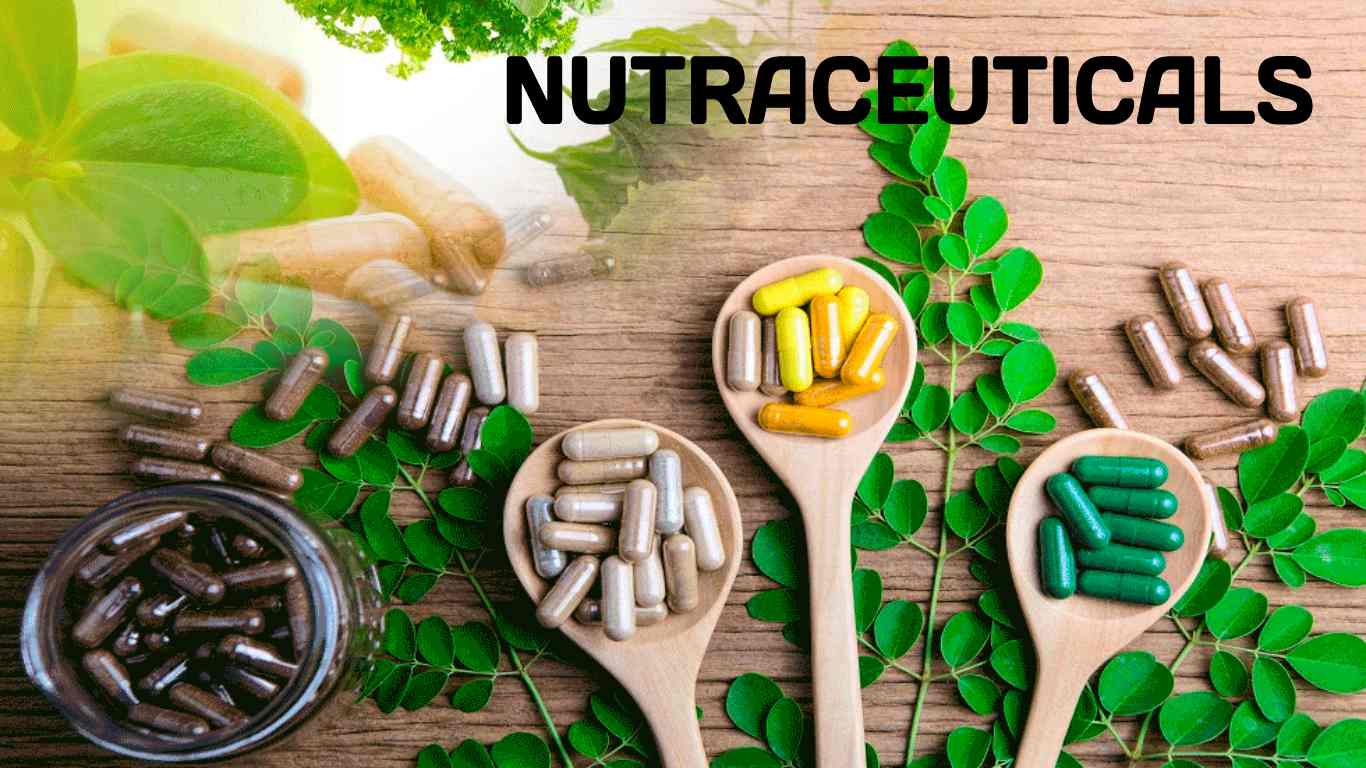 Nutraceuticals Market Growth Study, Future Trends, Demands, and Top Players Data by Forecast to 2030