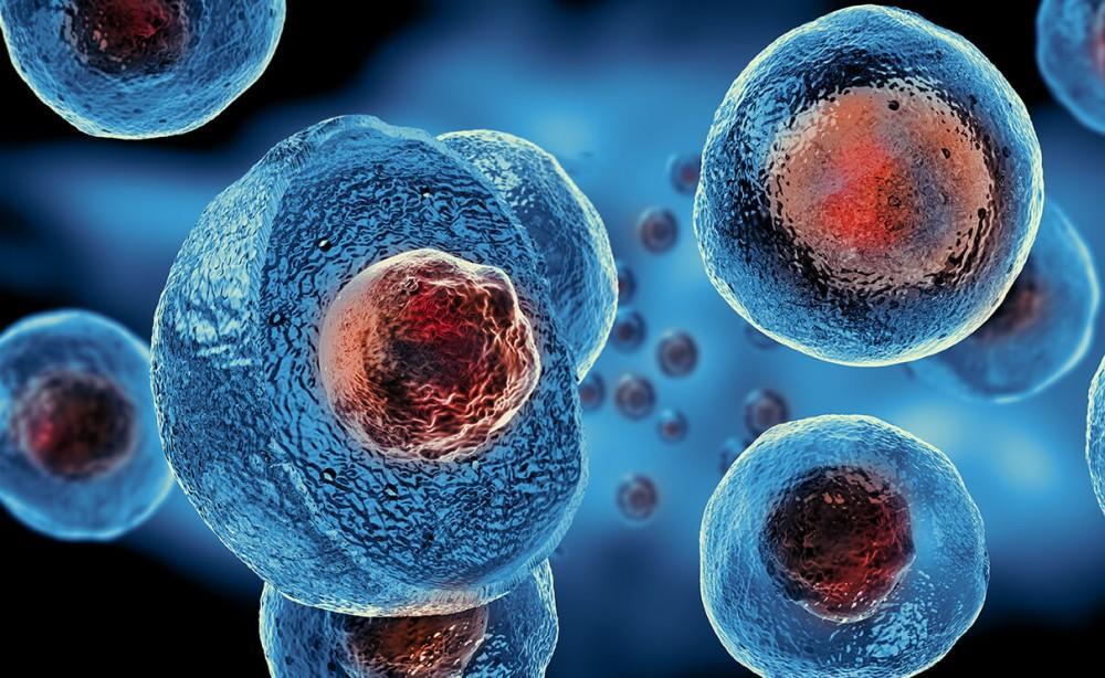 Stem Cell Therapy Market Research Report, Analysis. Demand by Region, Growth, Size, Share and Forecast to 2029