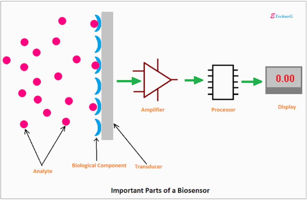 Biosensors Market Research Report, Analysis, Size, Share, Trends and Forecast 2035
