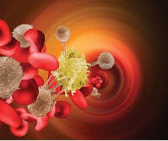 Innovations in Biomarker Detection Transform the Circulating Tumor Cells Market Landscape