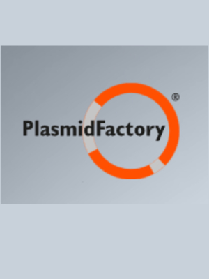 PlasmidFactory’s Minicircle DNA: Raising the Bar in Gene and Cell Therapy