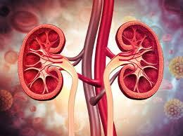 Chronic Kidney Disease (CKD) Anemia Market Report 2031: Drivers, Challenges, and Competitive Landscape