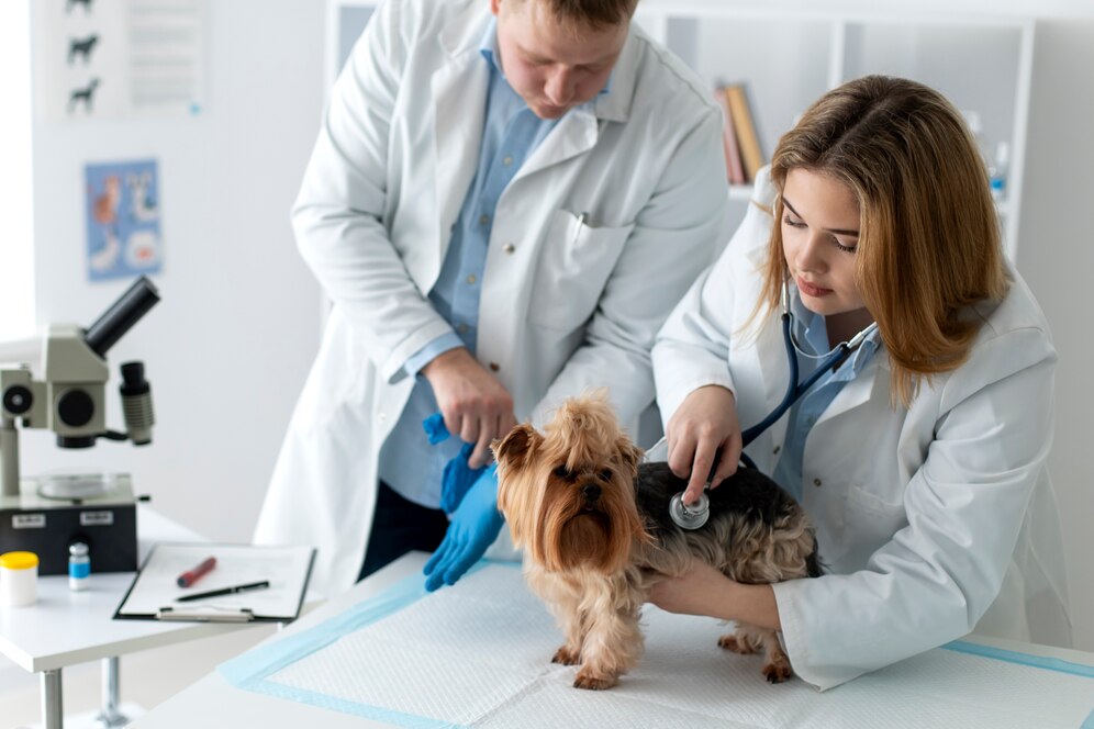 Veterinary Software Market Growth, Segments, Size, Market Analysis and Opportunities 2030