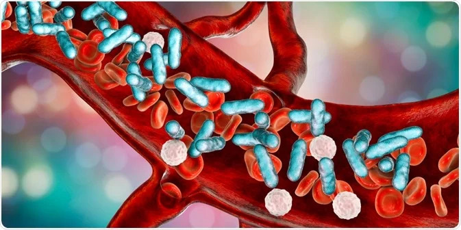 Sepsis Diagnostics Market Insights: Rising Demand for Rapid and Accurate Testing