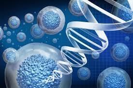 Cell and Gene Therapy CDMO Market | Analysis, Size, Share, Trends, Demand, Overview and Segment Forecast To 2031