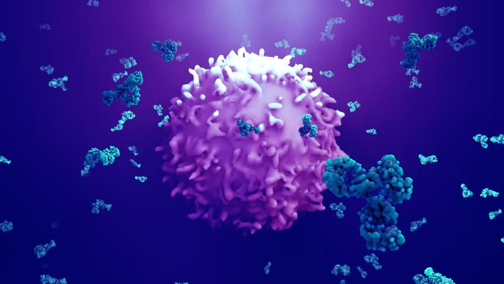 Immuno-Oncology (IO) Market In-depth Insights, Business Opportunities and Top Companies Analysis Forecast by 2030