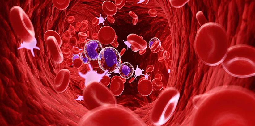 Hematology Market: Size, Share, Key Developments, Innovations, and Opportunities Through 2031