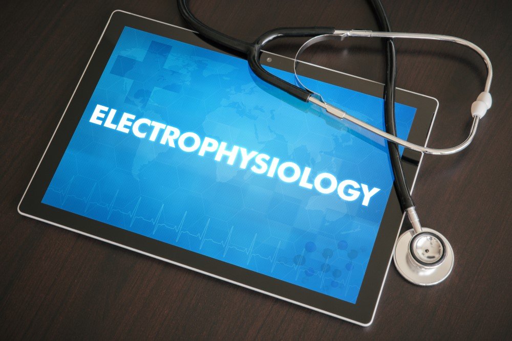 Electrophysiology Market Research, Size, Competitor Ranking Analysis, Market Trend Forecast Report 2025-2030