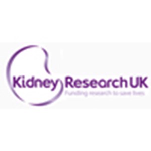 A Kidney Research UK study has proved that the Renal Services National Service Framework has had a positive impact in improving quality of care for the high-risk South Asian communities.