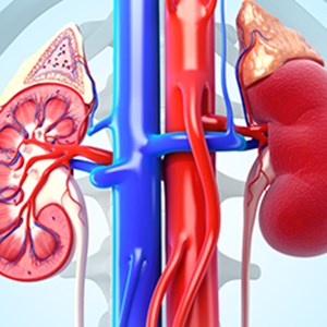 Renal Disease Treatment Market to Expand By A CAGR Of 6.5% on the Back of Rising Expenditure on Medical Treatments during 2019-2027