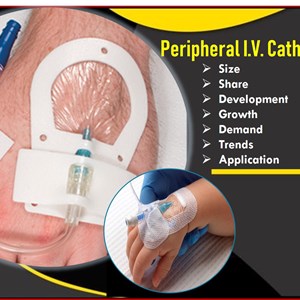 Peripheral I.V. Catheter Market Analysis by Sales, Revenue, Production and Consumption Forecast to 2022