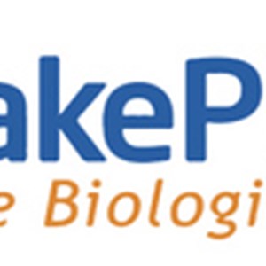 LakePharma and NJ Bio Form Strategic Alliance to Provide Streamlined Antibody-Drug Conjugate Services