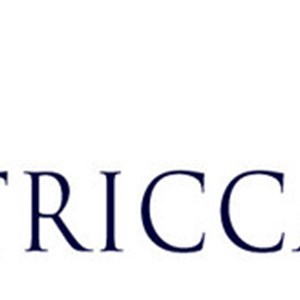 TRICCAR Holdings, Inc. Closes Acquisition By Frontier Oilfield Services And Announces Change Of Control, New Management Team