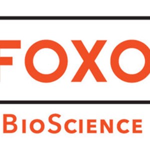 FOXO BioScience, Formerly Known as Life Epigenetics, Announces New Infinium Mouse Methylation Array in Strategic Collaboration with Van Andel Institute