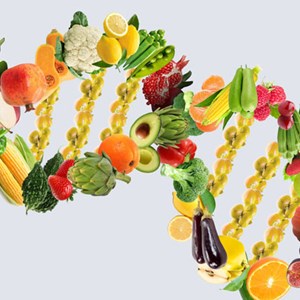 Tapping into the potential of personalised nutrition