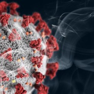 Smoking increases SARS-CoV-2 receptors in the lung