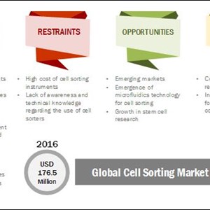 Cell Sorting Market Revenue Growth and Business Opportunities for New Market Entrants