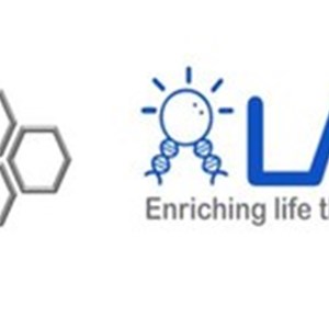 A2A Pharmaceuticals Collaborates With LAXAI Life Sciences to Co-develop SARS-CoV-2 Main Proteases Inhibitors for the Treatment of COVID-19