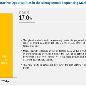 Metagenomic Sequencing Market: Significant Applications Of Metagenomics In Various Fields
