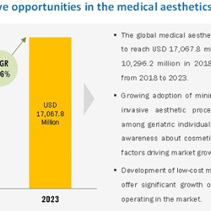Medical Aesthetics: Top Market Players In The Medical Aesthetics Market | Allergan, Galderma, Cynosure, Syneron Candela, Mentor