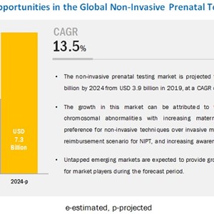 Non Invasive Prenatal Testing (NIPT) MarketExpecting Major Surge in Revenue in Next FIVE Years..!