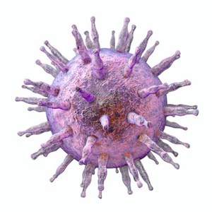 HJF Licenses Herpes Virus Vaccine Technology for Advanced Development