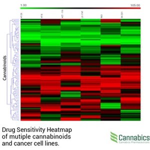 Cannabics Pharmaceuticals receives "Intention to Grant a European Patent" notice for its System and Method for High Throughput Screening of Cancer Cells patent application