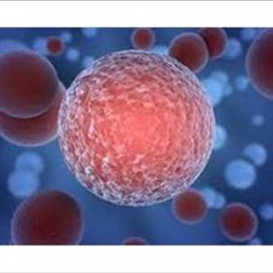 Global Cancer mTOR Inhibitors Market 2020 Market Trends & Opportunities to 2026