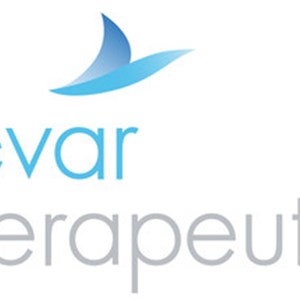 Elevar Therapeutics Presents Safety and Efficacy Results of Rivoceranib (apatinib) in Combination with Nivolumab at the 2020 Connective Tissue Oncology Society (CTOS) Annual Meeting