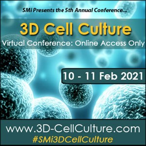 Interview Released with Robert Vries, CEO at Hubrecht Organoid Technology speaker at 3D Cell Culture