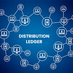 Distributed Ledger is the future of data storage and security in a supply chain